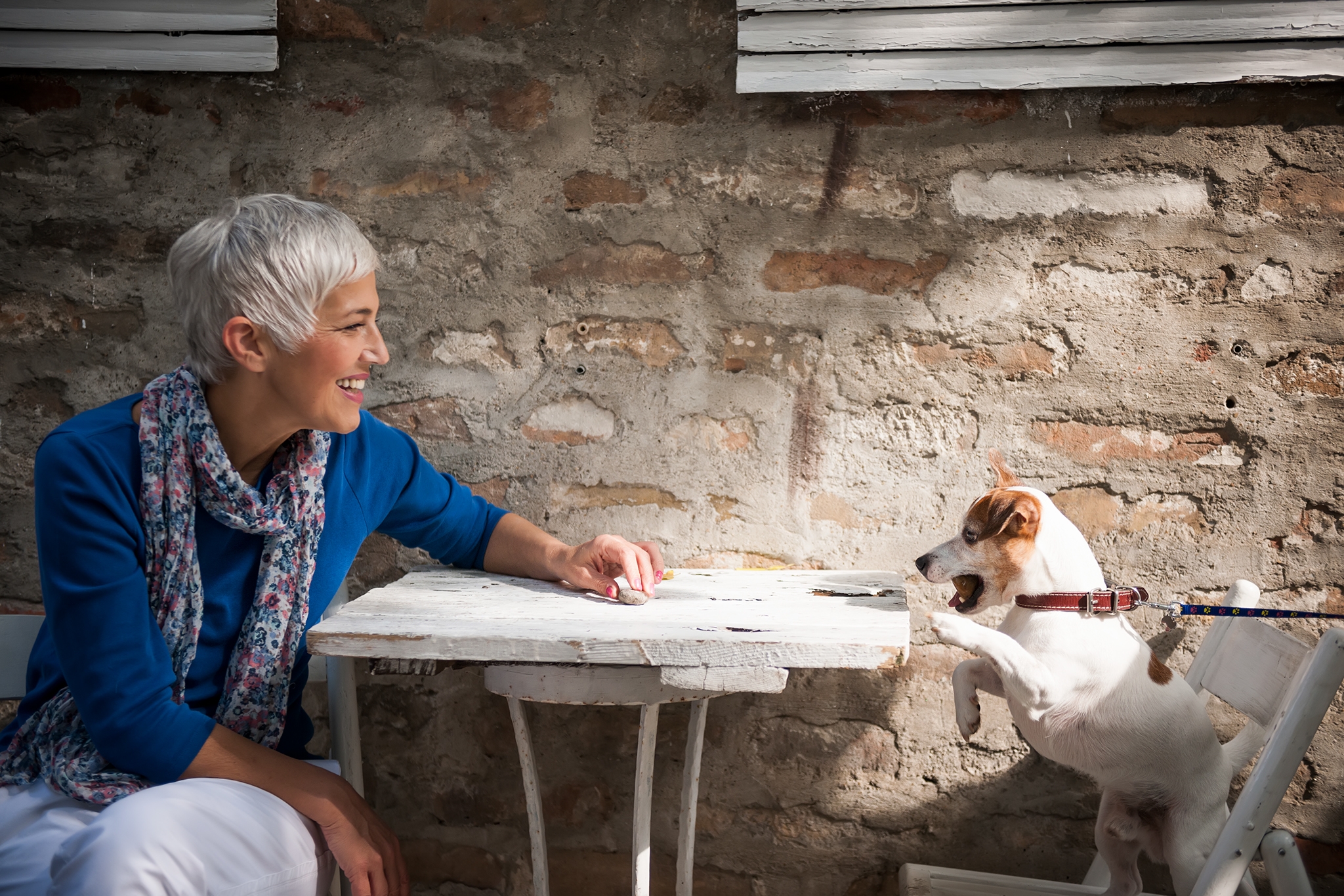 Beautiful mature woman sitting in cafe with dog