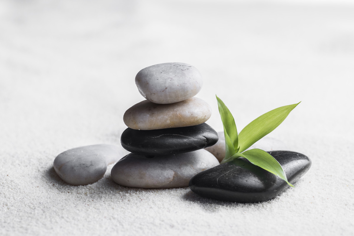 stones and bamboo sprout on the sand