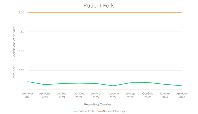 Patient falls graph