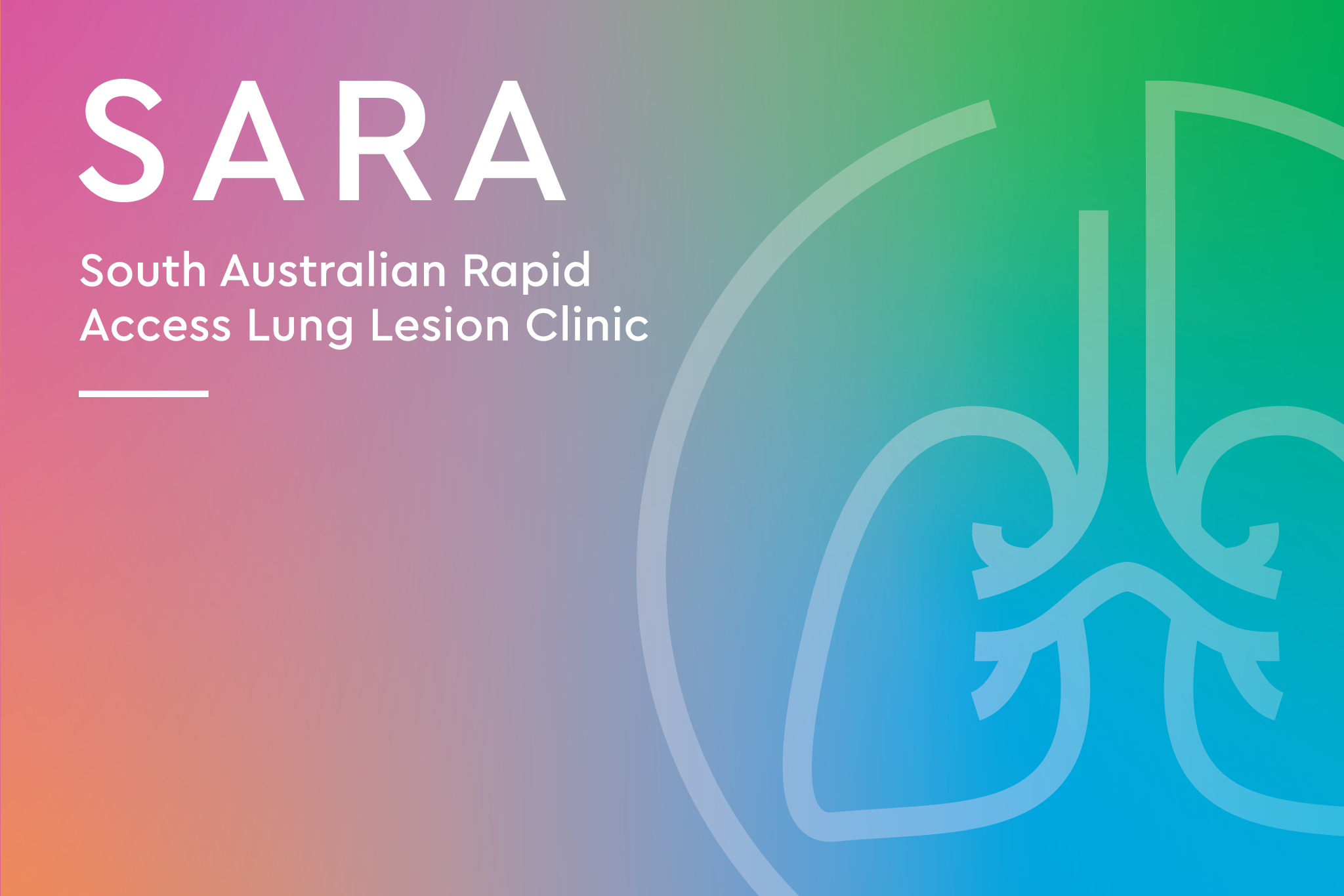 Spotlight on: SARA