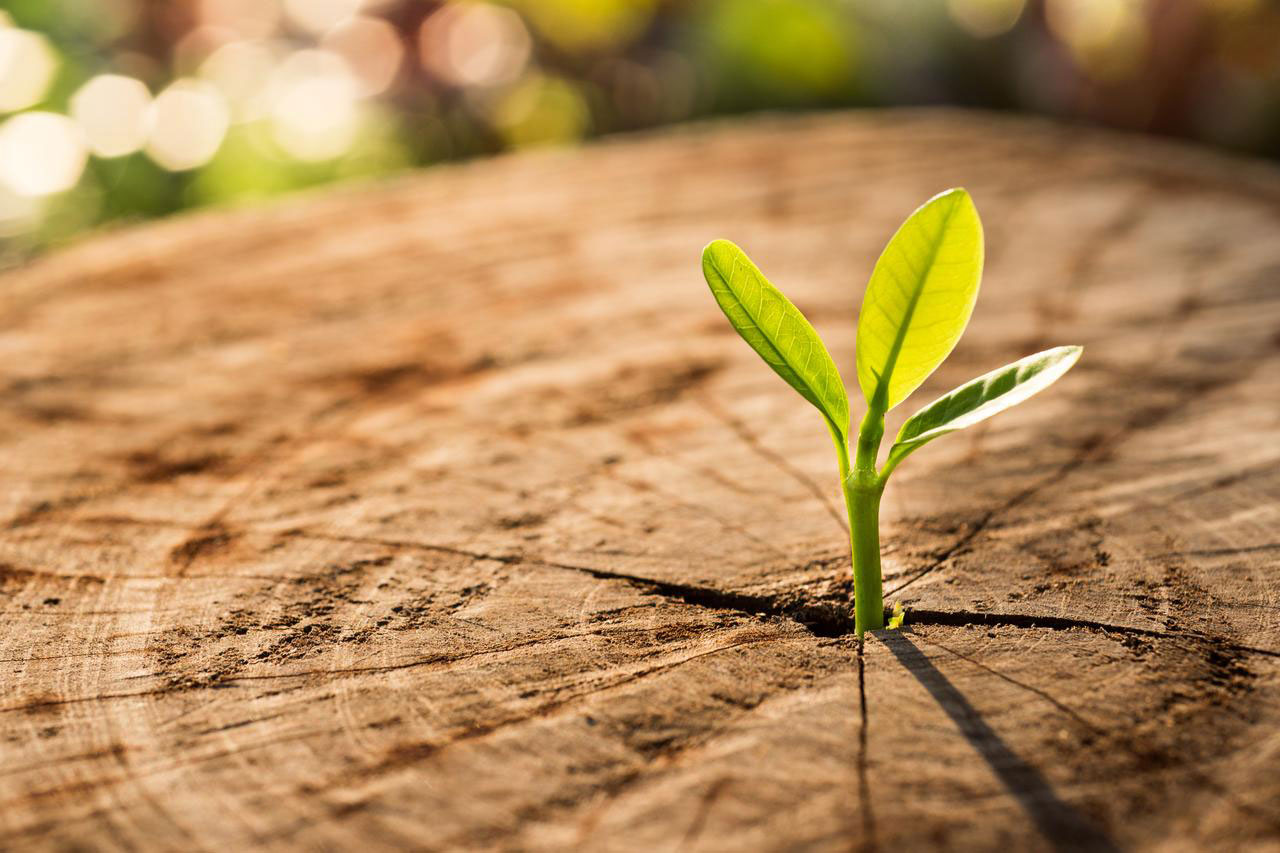 Maximising Efficiency and Quality Gains in Clinical Trial Study Start-Up