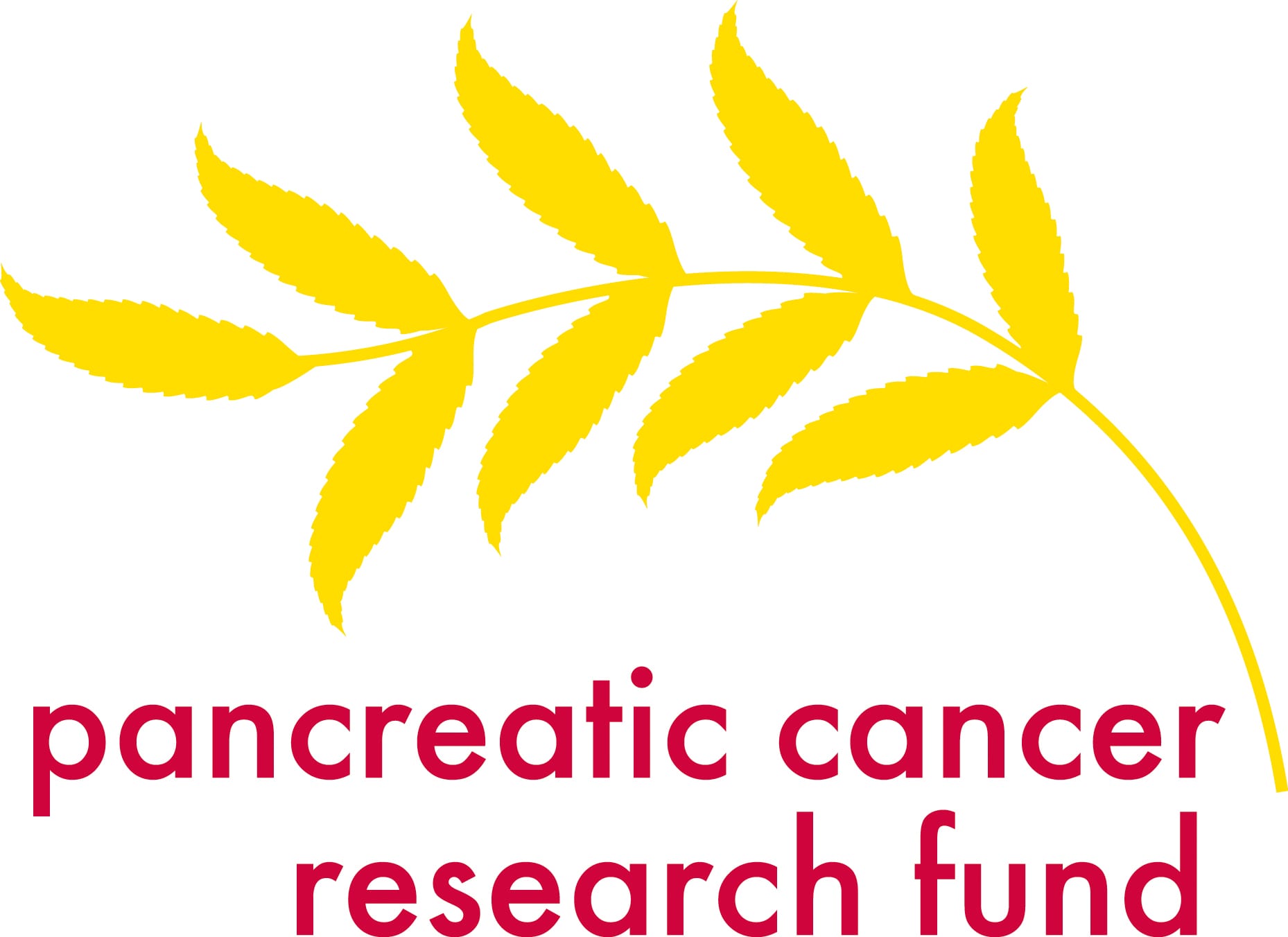 organization_logo