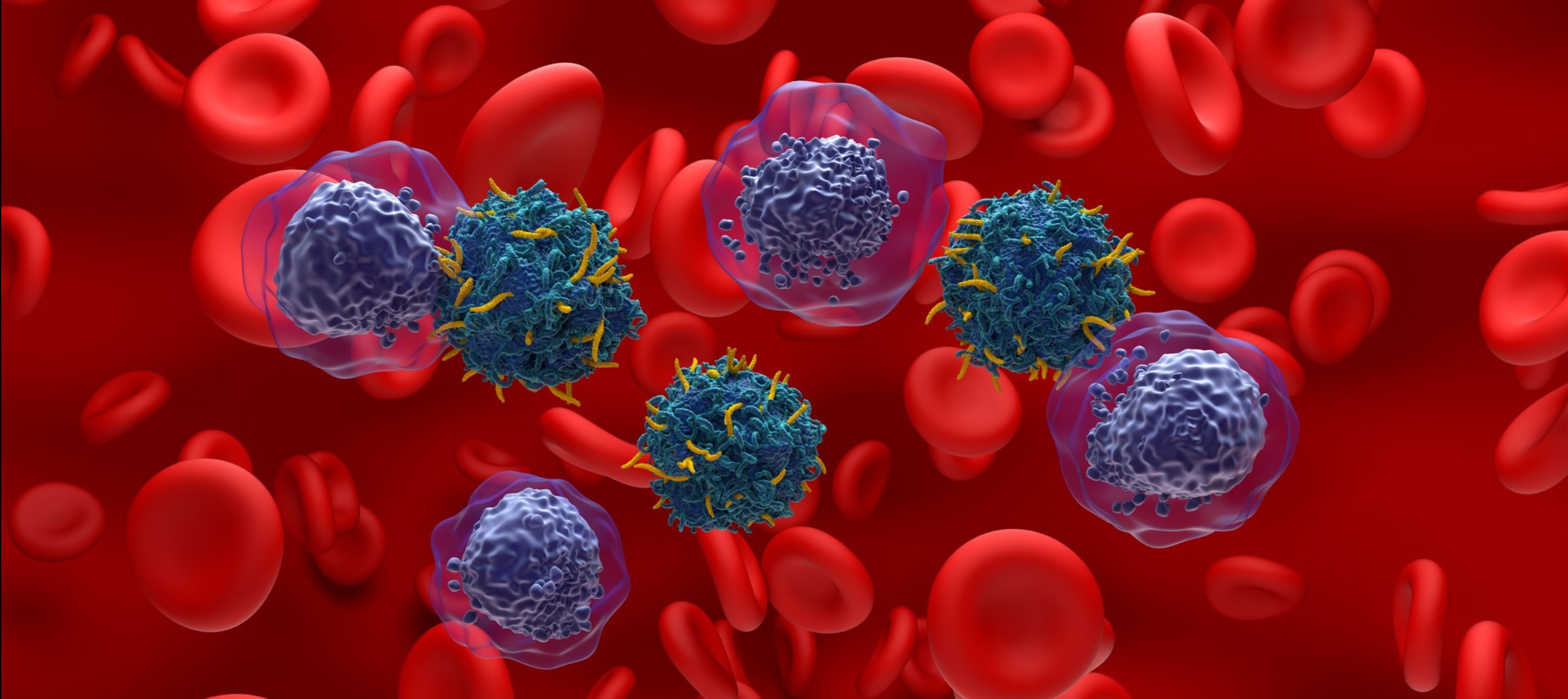 Breakthrough for Blood Cancers